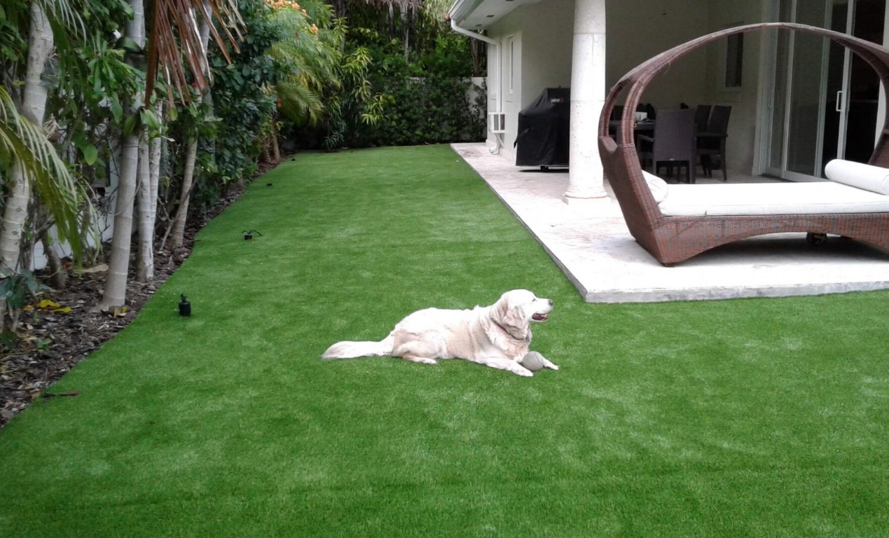 Pet-friendly artificial turf with drainage in Atascocita, TX